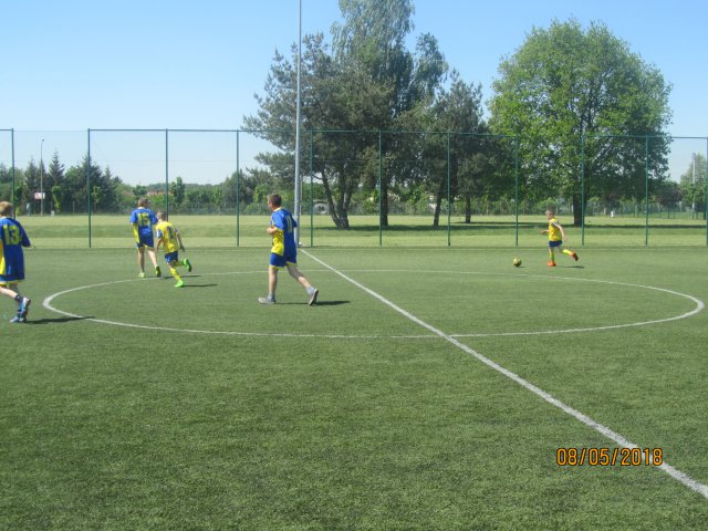 pino 18